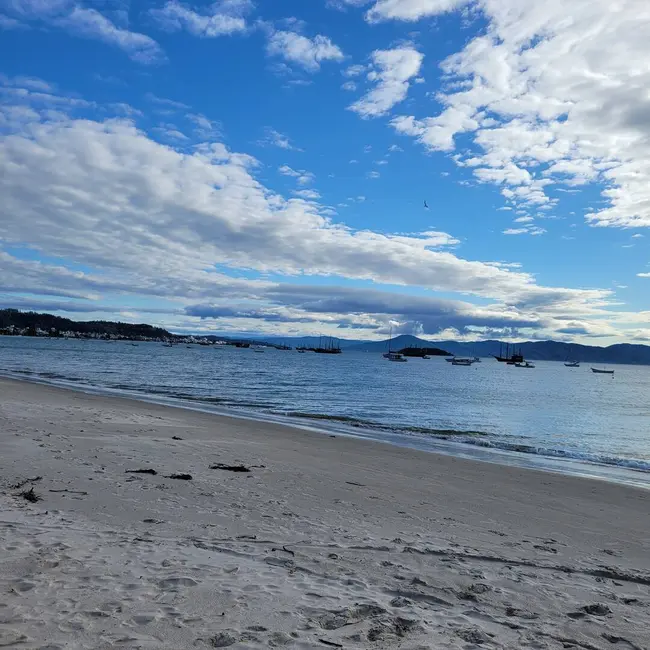 Apartamento com 2 quartos à venda, 81823m2 em Cachoeira do Bom Jesus, Florianopolis - SC - imagem 6 Foto 6 de Apartamento com 2 quartos à venda, 81823m2 em Cachoeira do Bom Jesus, Florianopolis - SC