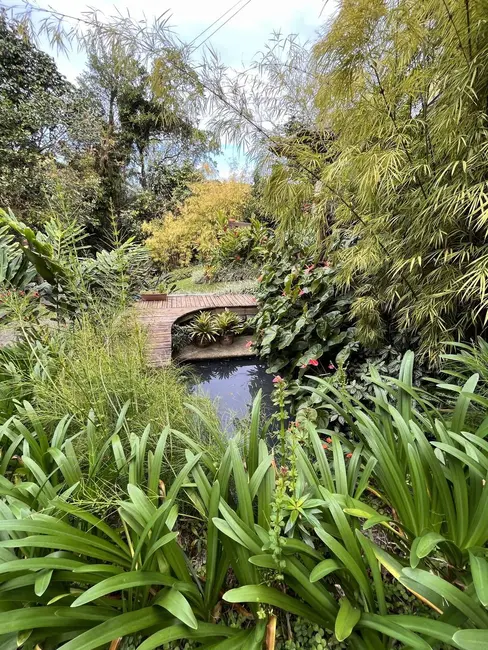 Foto 8 de Casa com 3 quartos à venda em Lagoa da Conceição, Florianopolis - SC