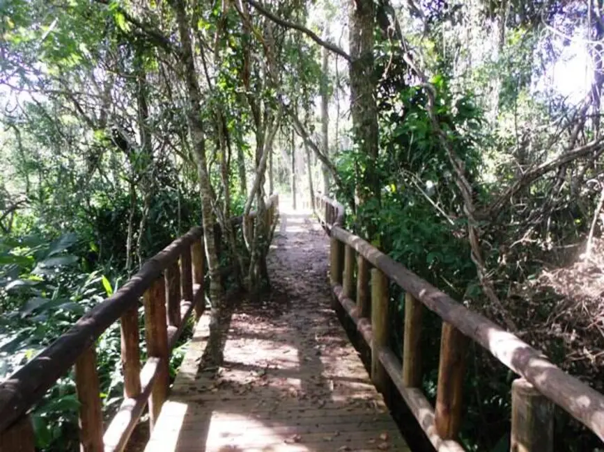 Foto 4 de Terreno / Lote à venda em Ratones, Florianopolis - SC