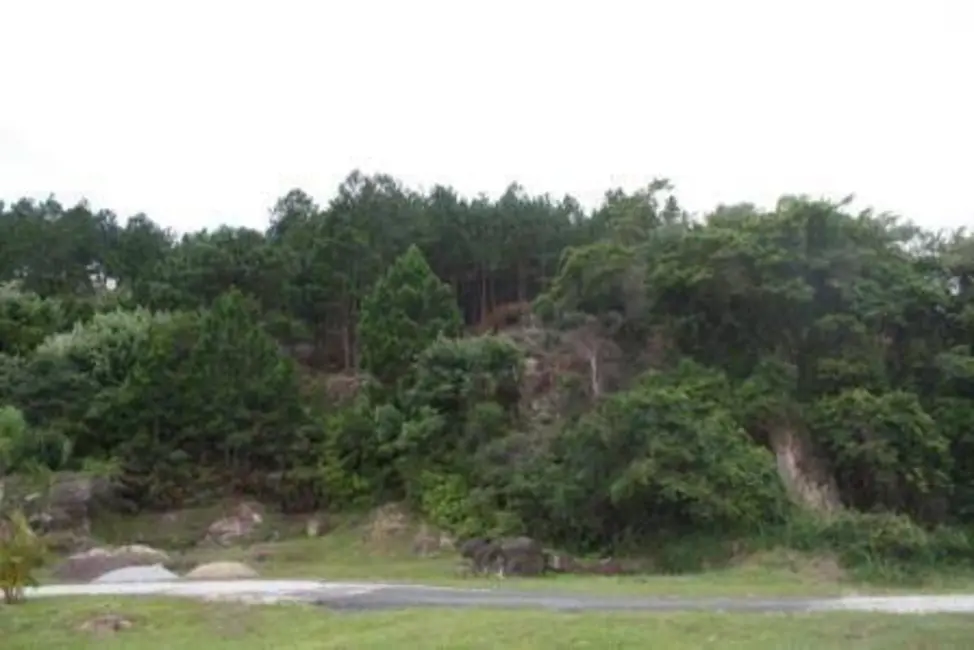 Terreno / Lote à venda, 22000m2 em Vargem Pequena, Florianopolis - SC - imagem 3 Foto 3 de Terreno / Lote à venda, 22000m2 em Vargem Pequena, Florianopolis - SC