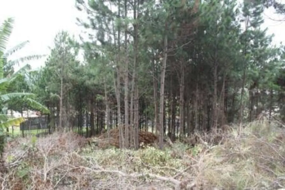 Terreno / Lote à venda, 22000m2 em Vargem Pequena, Florianopolis - SC - imagem 4 Foto 4 de Terreno / Lote à venda, 22000m2 em Vargem Pequena, Florianopolis - SC