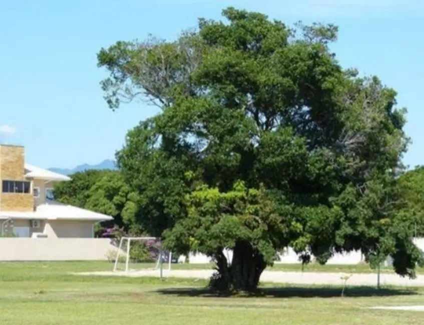 Terreno / Lote à venda, 510m2 em Campeche, Florianopolis - SC - imagem 9 Foto 9 de Terreno / Lote à venda, 510m2 em Campeche, Florianopolis - SC