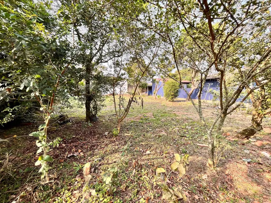 Foto 4 de Terreno / Lote à venda, 330m2 em Campeche, Florianopolis - SC