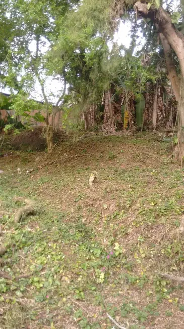 Terreno / Lote à venda, 2506m2 em Centro, Florianopolis - SC - imagem 7 Foto 7 de Terreno / Lote à venda, 2506m2 em Centro, Florianopolis - SC