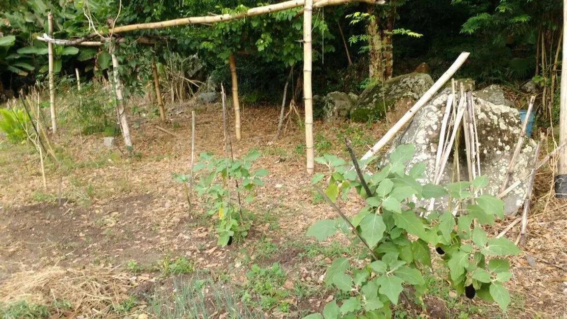 Foto 3 de Terreno / Lote à venda, 1445m2 em Vargem Pequena, Florianopolis - SC