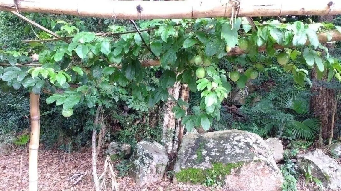Foto 4 de Terreno / Lote à venda, 1445m2 em Vargem Pequena, Florianopolis - SC