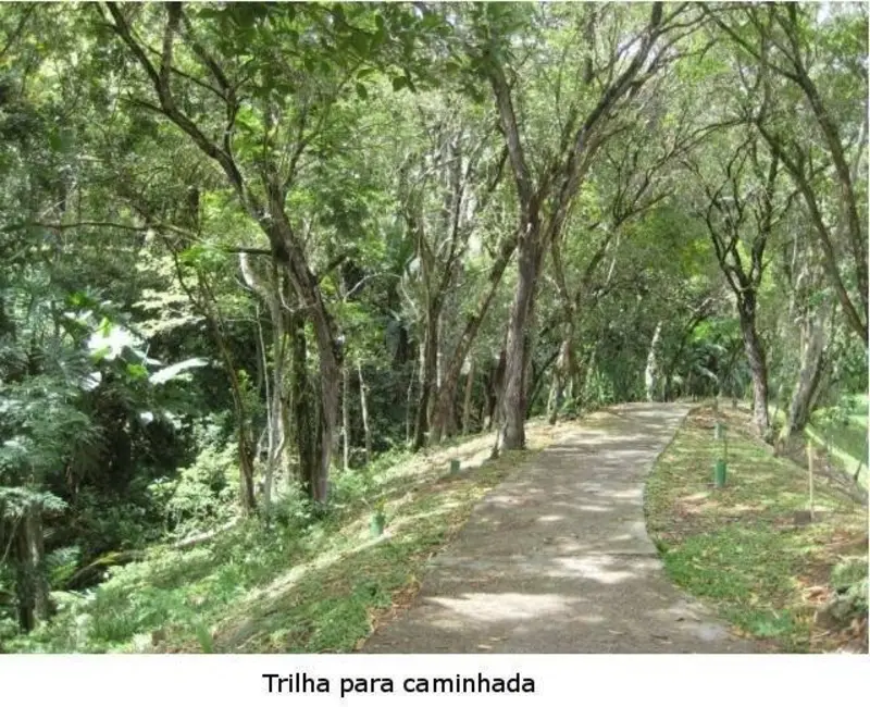 Foto 3 de Terreno / Lote à venda, 1593m2 em Roçado, Sao Jose - SC