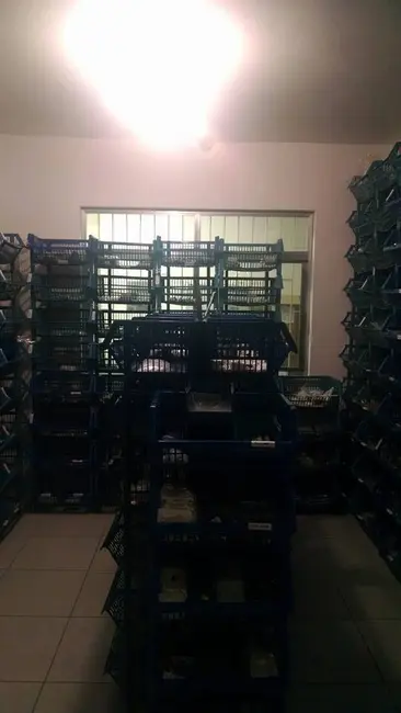 Foto 3 de Sala Comercial à venda, 404m2 em Barreiros, Sao Jose - SC