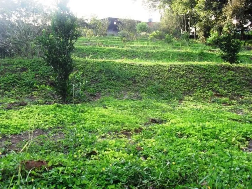 Foto 7 de Chácara com 5 quartos à venda, 118002m2 em Votuparim, Santana De Parnaiba - SP