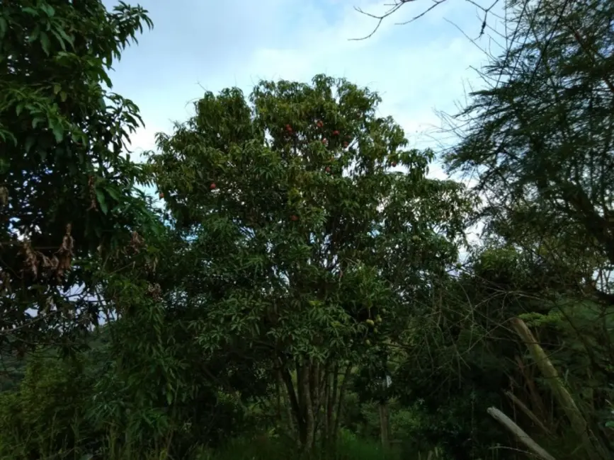 Foto 1 de Chácara com 2 quartos à venda, 690m2 em Pirapora Do Bom Jesus - SP