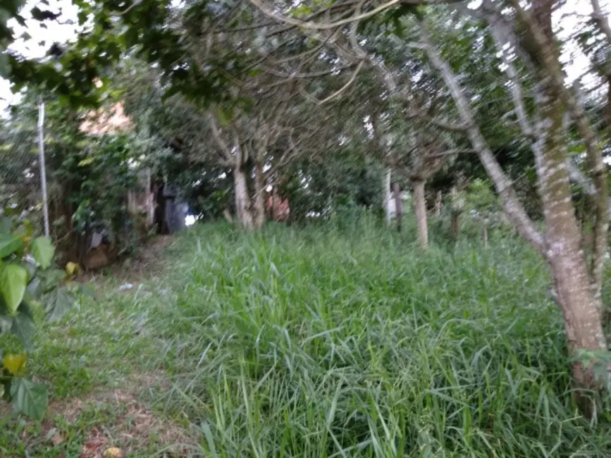 Foto 4 de Chácara com 2 quartos à venda, 690m2 em Pirapora Do Bom Jesus - SP