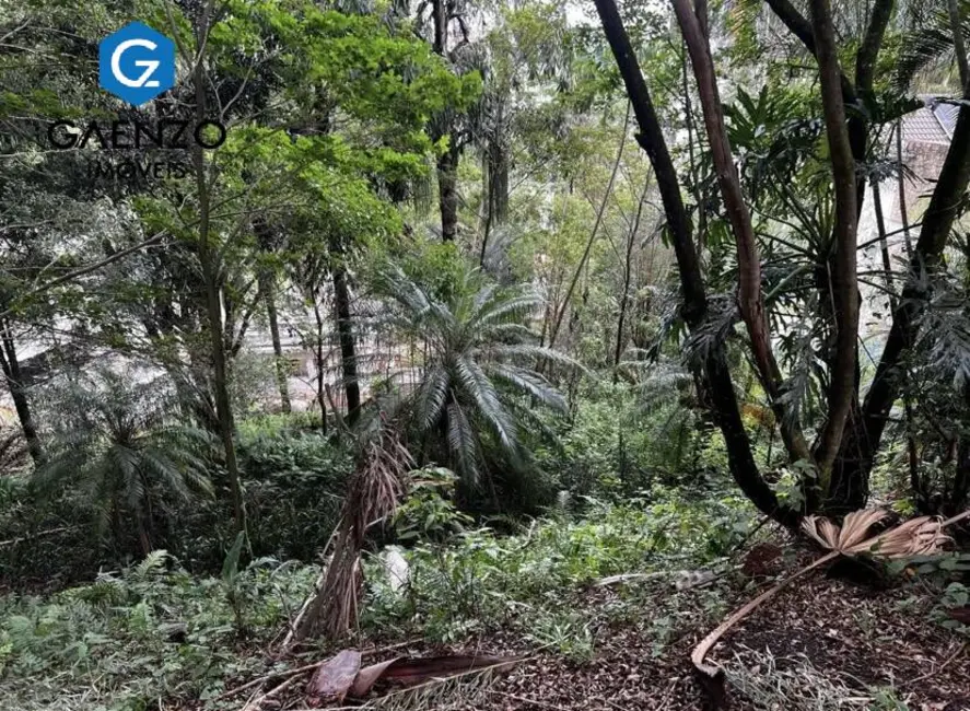 Foto 9 de Lote de Condomínio à venda, 1328m2 em Residencial Tamboré, Barueri - SP