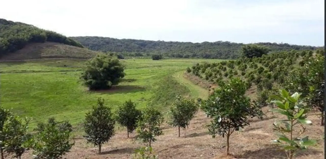 Foto 1 de Fazenda / Haras com 1 quarto à venda, 2750000m2 em Centro, Jacupiranga - SP