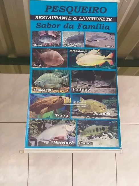 Sala Comercial à venda, 11000m2 em Pilar Do Sul - SP - imagem 6 Foto 6 de Sala Comercial à venda, 11000m2 em Pilar Do Sul - SP