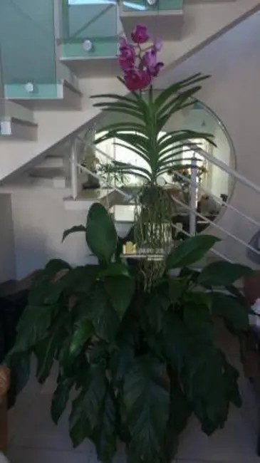 Casa com 3 quartos à venda, 300m2 em Jardim Novo Horizonte, Sorocaba - SP - imagem 5 Foto 5 de Casa com 3 quartos à venda, 300m2 em Jardim Novo Horizonte, Sorocaba - SP
