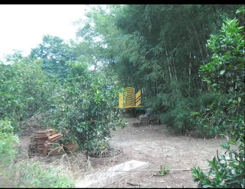 Chácara com 3 quartos à venda, 13000m2 em Parque Cimentolândia, Itapeva - SP - imagem 5 Foto 5 de Chácara com 3 quartos à venda, 13000m2 em Parque Cimentolândia, Itapeva - SP