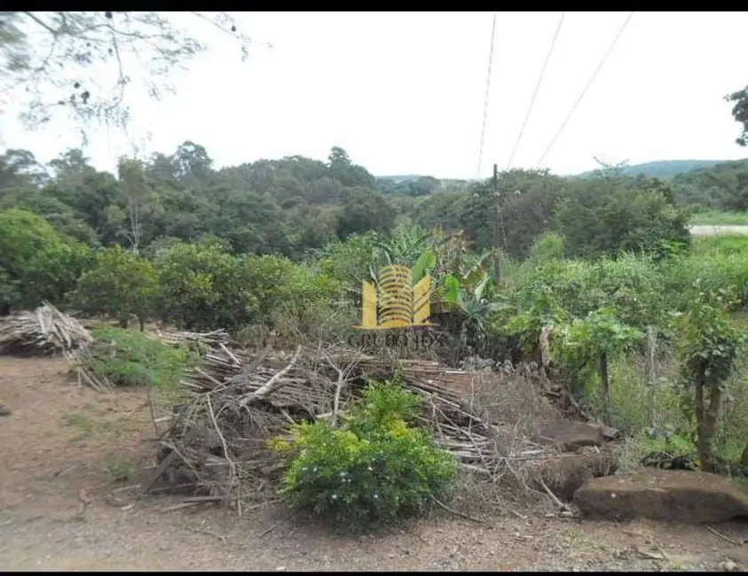 Chácara com 3 quartos à venda, 13000m2 em Parque Cimentolândia, Itapeva - SP - imagem 8 Foto 8 de Chácara com 3 quartos à venda, 13000m2 em Parque Cimentolândia, Itapeva - SP