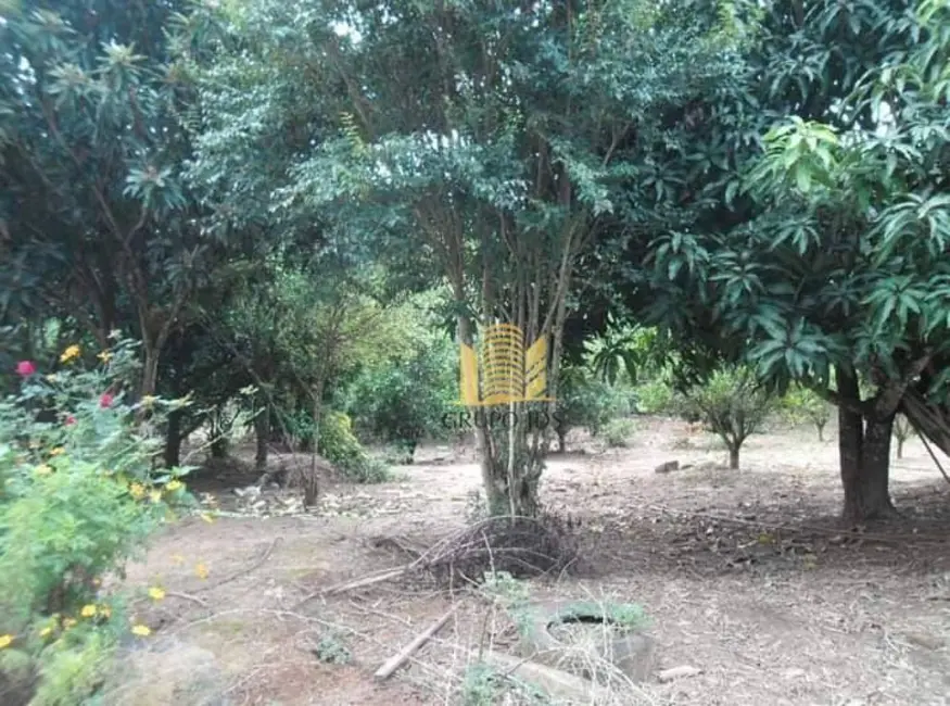 Chácara com 3 quartos à venda, 13000m2 em Parque Cimentolândia, Itapeva - SP - imagem 7 Foto 7 de Chácara com 3 quartos à venda, 13000m2 em Parque Cimentolândia, Itapeva - SP