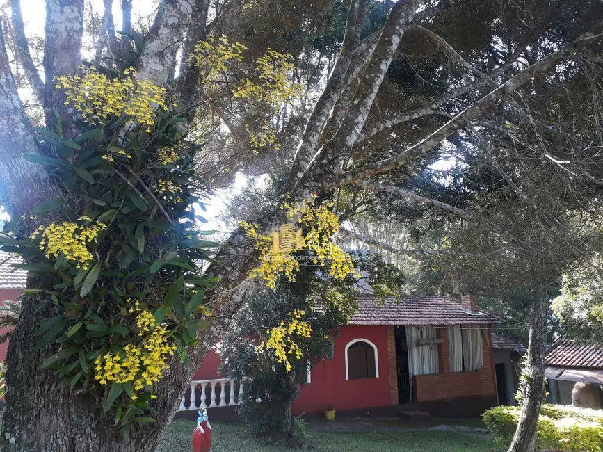 Chácara com 8 quartos à venda, 4000m2 em Ibiuna - SP - imagem 5 Foto 5 de Chácara com 8 quartos à venda, 4000m2 em Ibiuna - SP