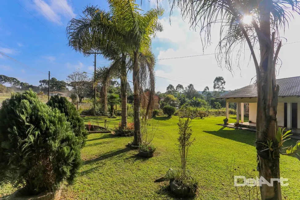 Foto 2 de Chácara com 3 quartos à venda, 1500m2 em Rio Negro - PR