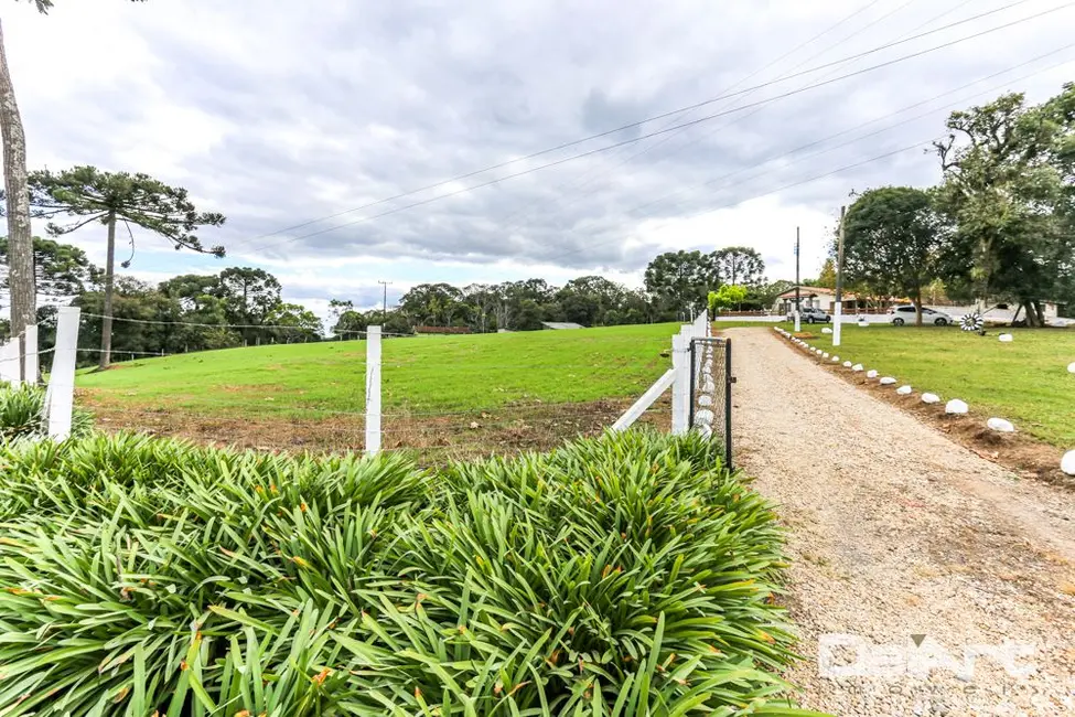 Foto 5 de Sítio / Rancho com 3 quartos à venda, 105100m2 em Rio Negro - PR