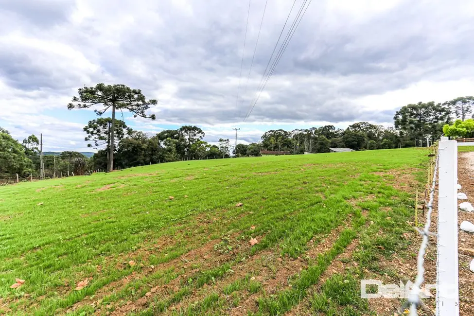 Foto 6 de Sítio / Rancho com 3 quartos à venda, 105100m2 em Rio Negro - PR