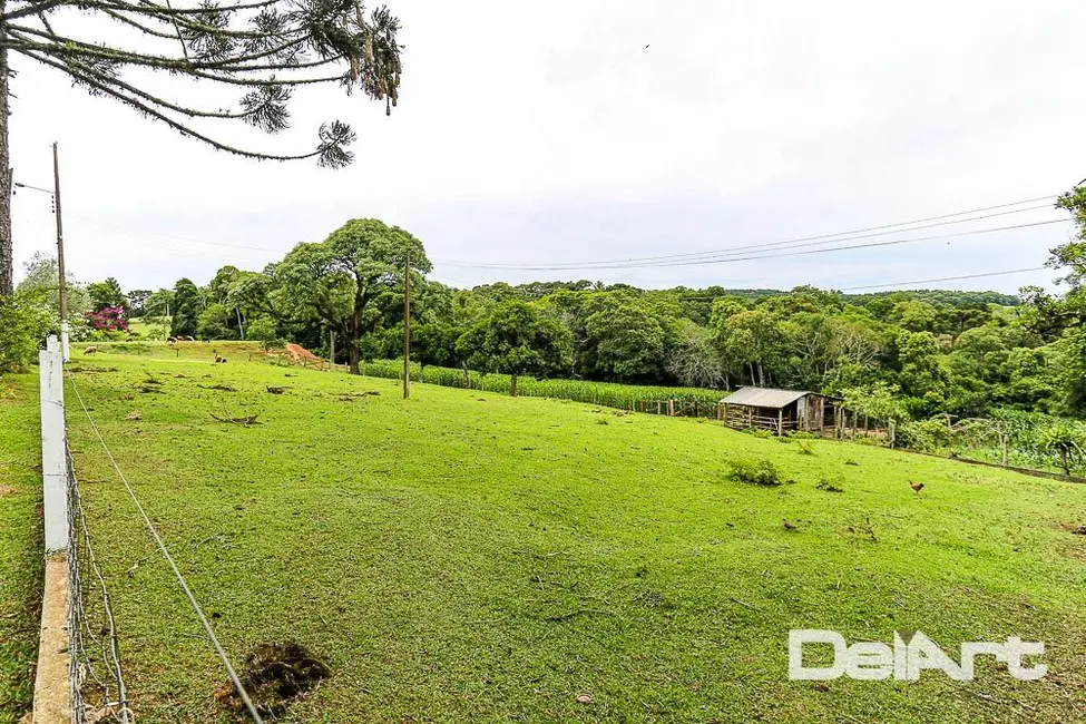 Foto 4 de Sítio / Rancho com 6 quartos à venda, 225357m2 em Campo Do Tenente - PR