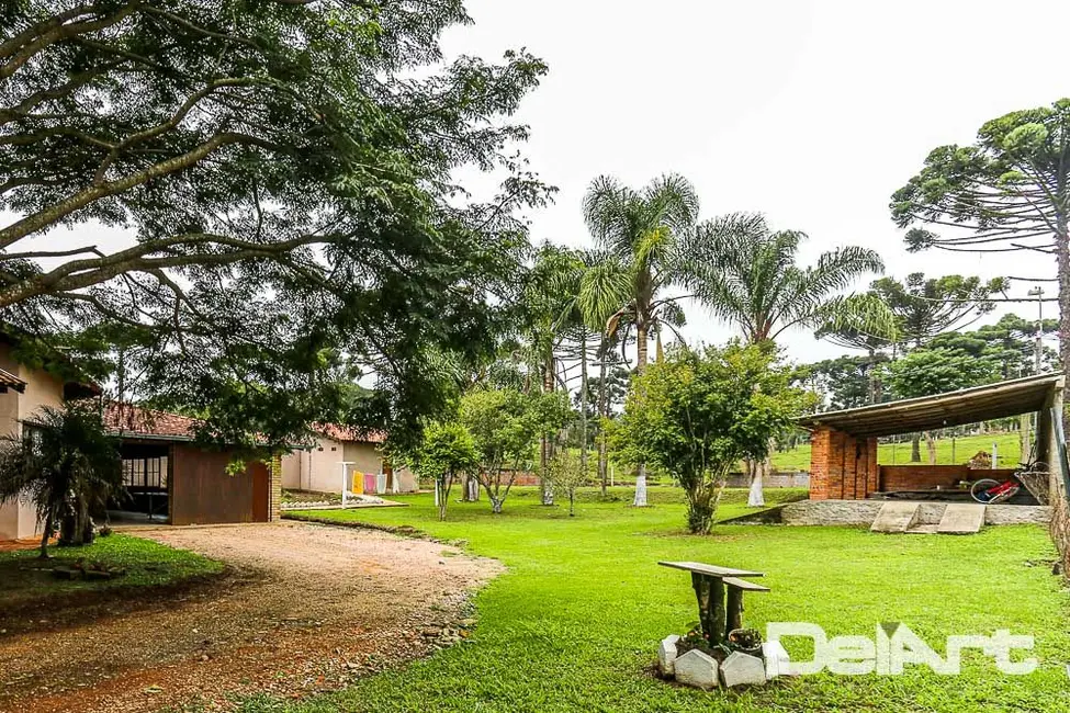Foto 7 de Casa com 3 quartos à venda, 1945m2 em Rio Negro - PR