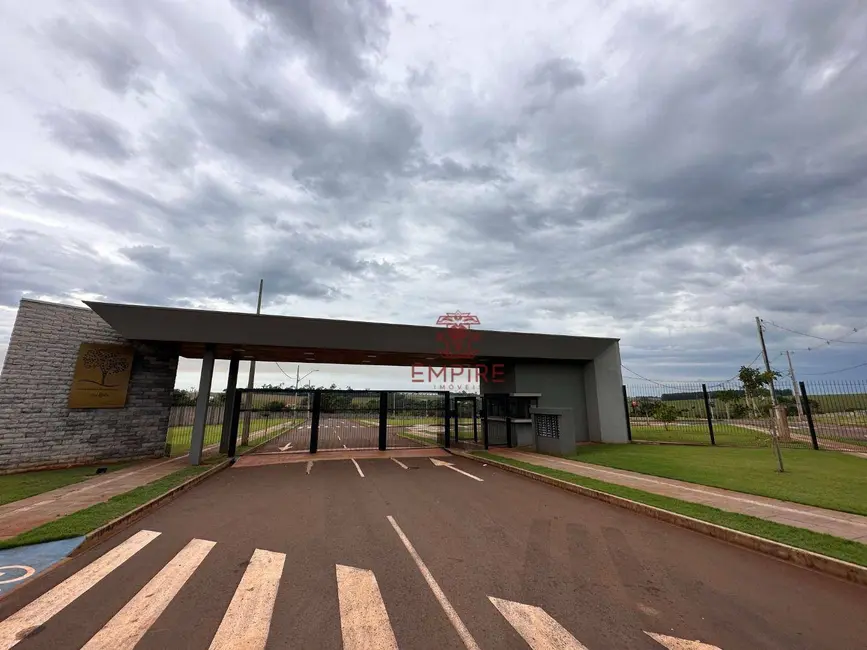 Foto 7 de Terreno / Lote à venda, 585m2 em Palotina - PR