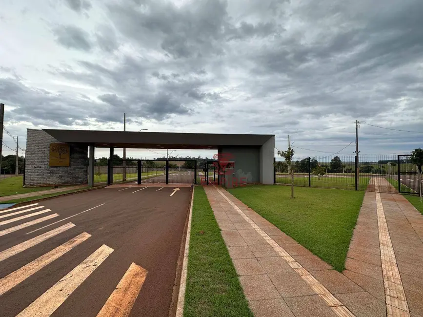 Foto 2 de Terreno / Lote à venda, 585m2 em Palotina - PR