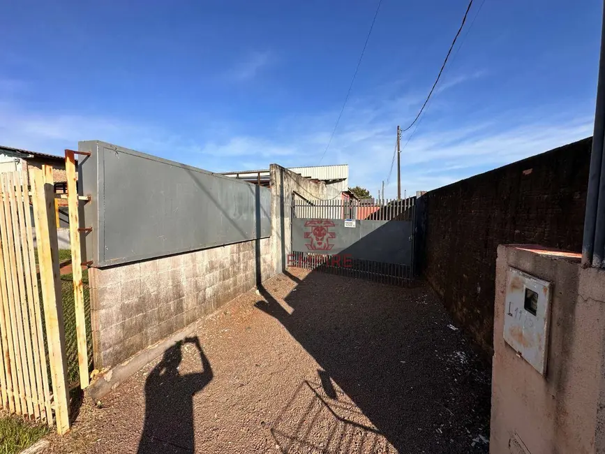 Foto 3 de Armazém / Galpão para alugar, 640m2 em Palotina - PR