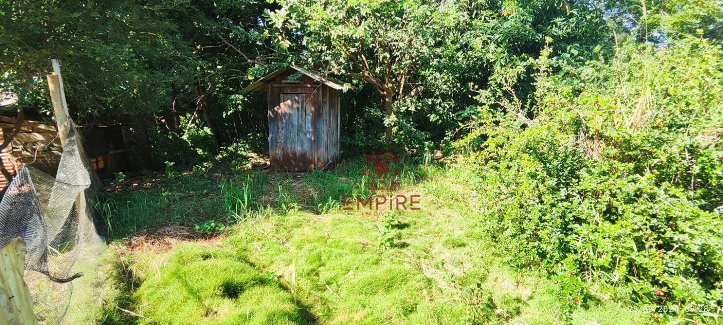 Foto 9 de Chácara com 3 quartos à venda, 12000m2 em Marialva - PR