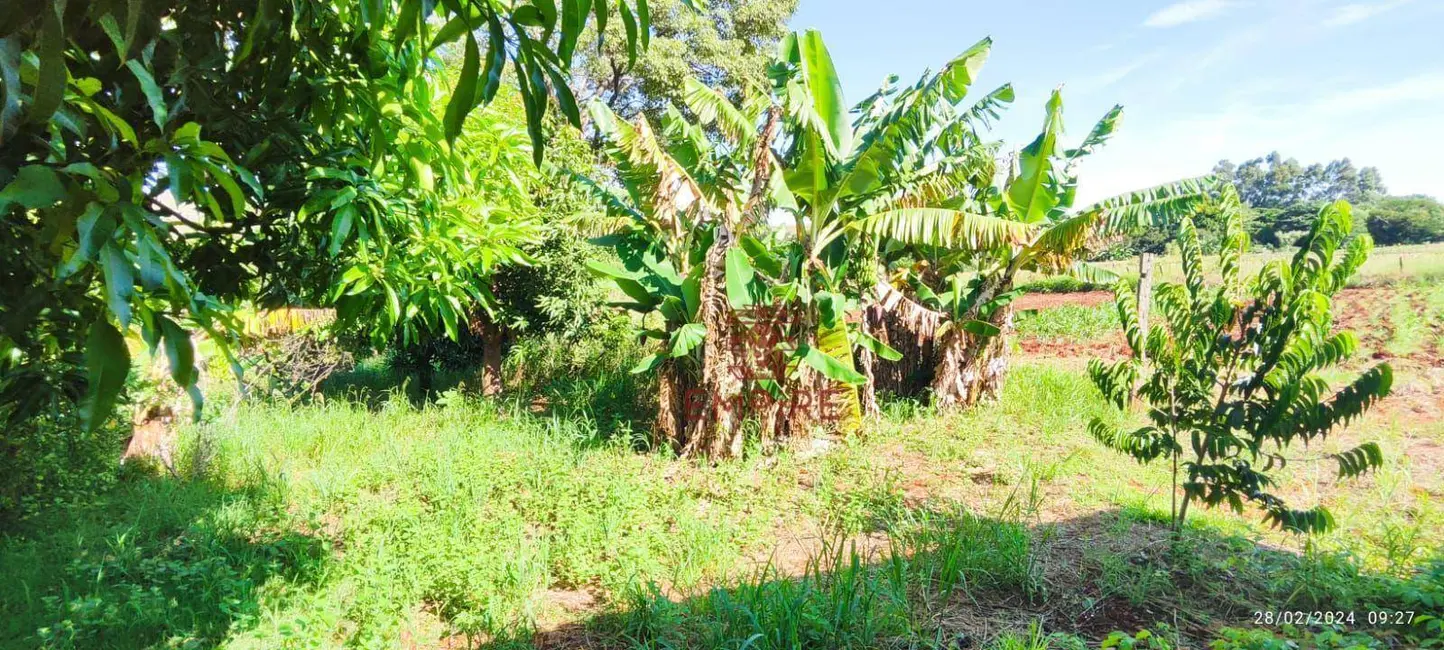 Foto 8 de Chácara com 3 quartos à venda, 12000m2 em Marialva - PR