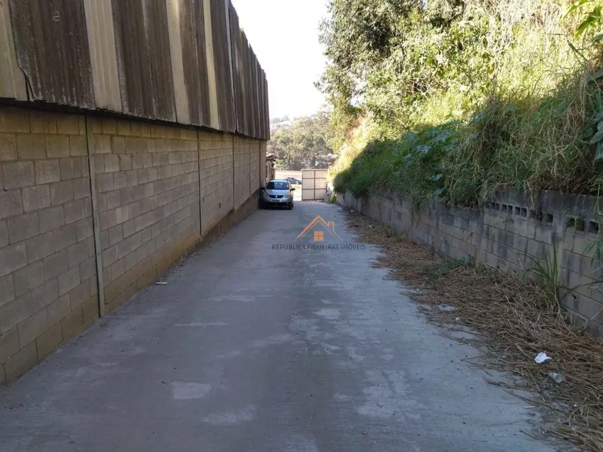 Sala Comercial para alugar, 2000m2 em Parque Edu Chaves, São Paulo - SP - imagem 3 Foto 3 de Sala Comercial para alugar, 2000m2 em Parque Edu Chaves, São Paulo - SP