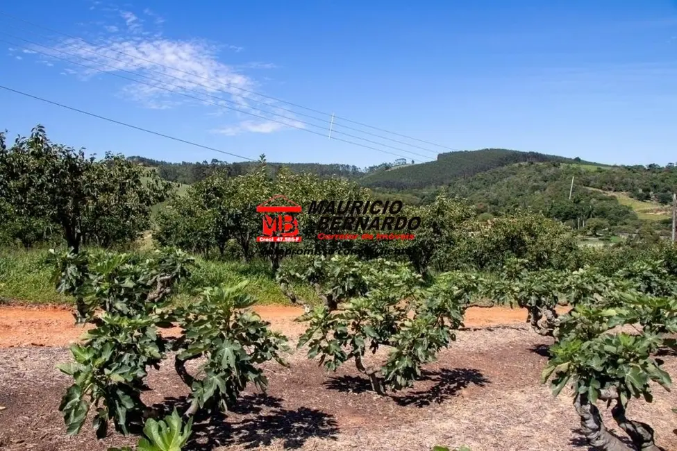 Foto 5 de Sítio / Rancho com 4 quartos à venda, 52000m2 em Morungaba - SP