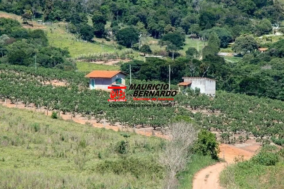Foto 1 de Sítio / Rancho com 4 quartos à venda, 52000m2 em Morungaba - SP