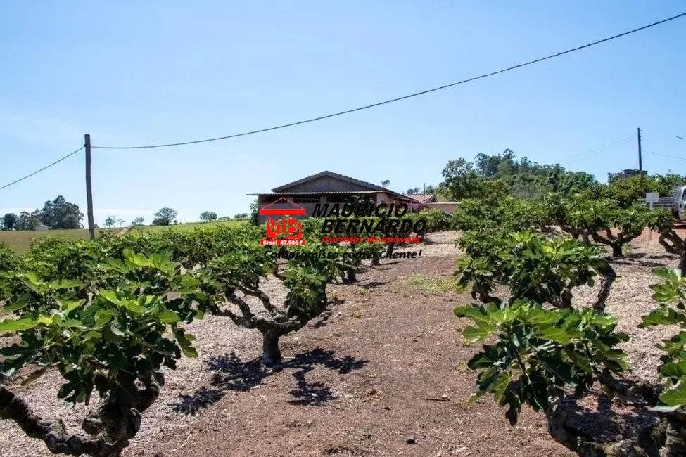 Foto 9 de Sítio / Rancho com 4 quartos à venda, 52000m2 em Morungaba - SP