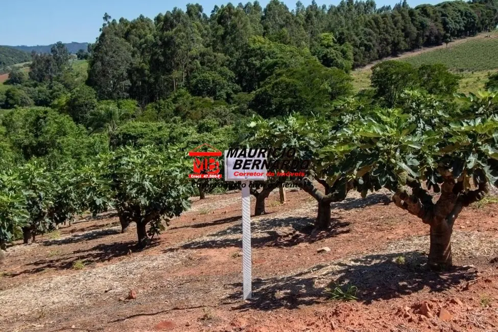 Foto 8 de Sítio / Rancho com 4 quartos à venda, 52000m2 em Morungaba - SP