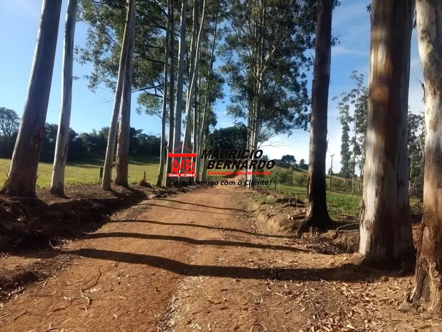 Foto 3 de Fazenda / Haras com 3 quartos à venda, 128m2 em Amparo - SP