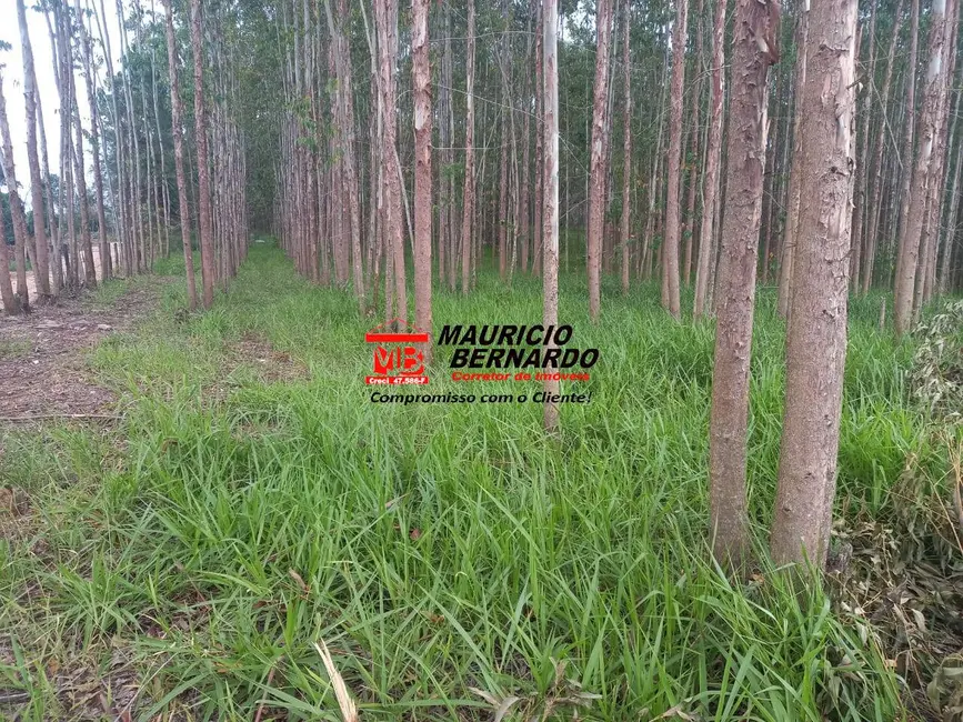 Foto 3 de Terreno / Lote à venda, 380000m2 em Centro, Morungaba - SP