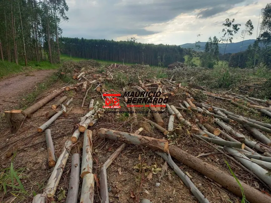 Foto 2 de Terreno / Lote à venda, 380000m2 em Centro, Morungaba - SP