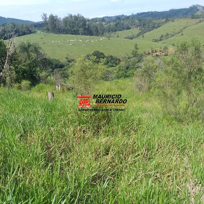 Foto 9 de Fazenda / Haras com 5 quartos à venda, 36m2 em Amparo - SP