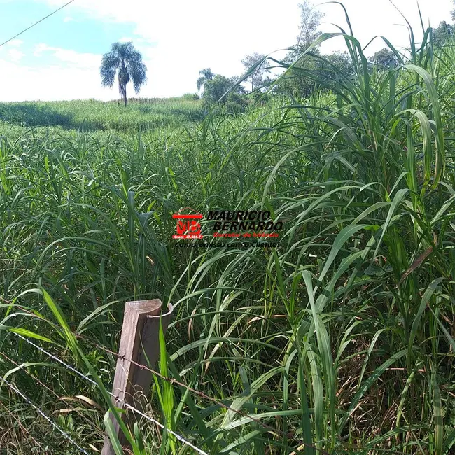 Foto 5 de Fazenda / Haras com 5 quartos à venda, 36m2 em Amparo - SP