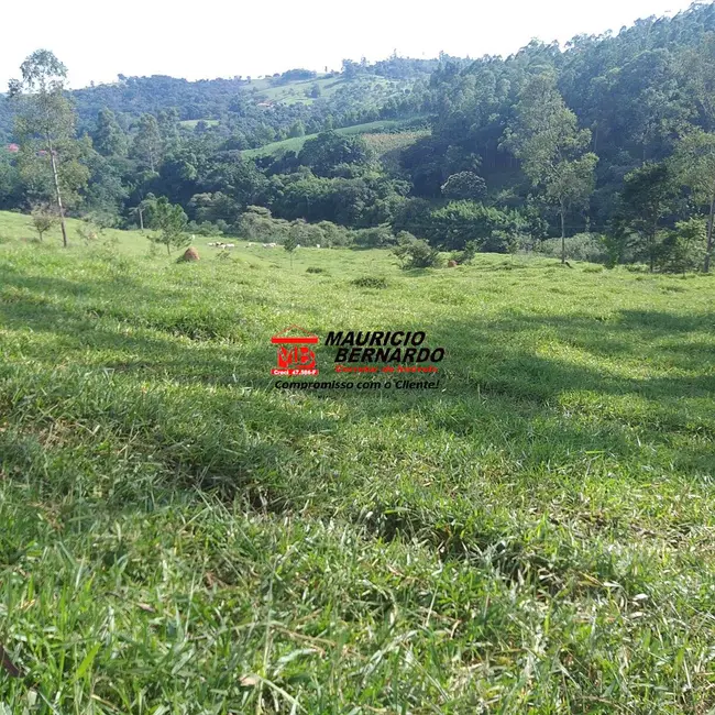 Foto 4 de Fazenda / Haras com 5 quartos à venda, 36m2 em Amparo - SP
