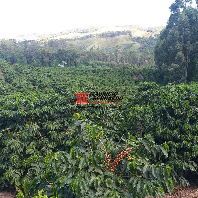 Foto 1 de Sítio / Rancho com 2 quartos à venda, 14m2 em Amparo, SP