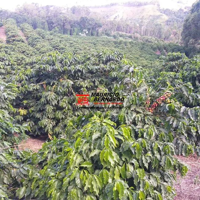 Foto 9 de Sítio / Rancho com 2 quartos à venda, 14m2 em Amparo - SP