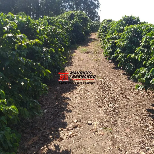 Foto 5 de Sítio / Rancho com 2 quartos à venda, 14m2 em Amparo - SP