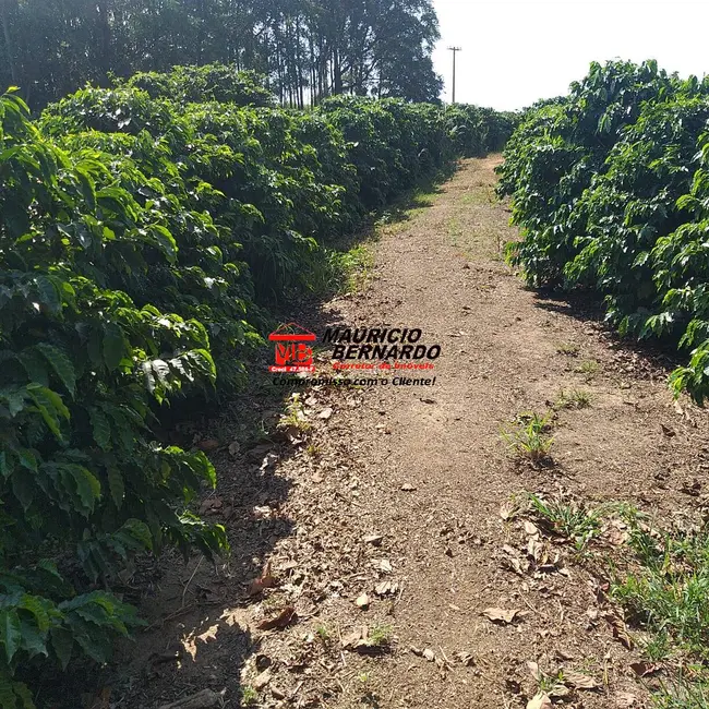 Foto 8 de Sítio / Rancho com 2 quartos à venda, 14m2 em Amparo - SP