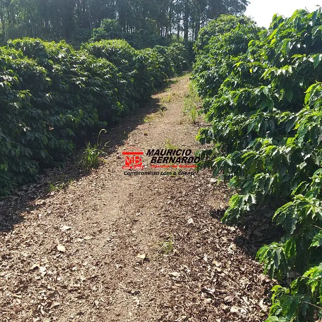 Foto 6 de Sítio / Rancho com 2 quartos à venda, 14m2 em Amparo - SP