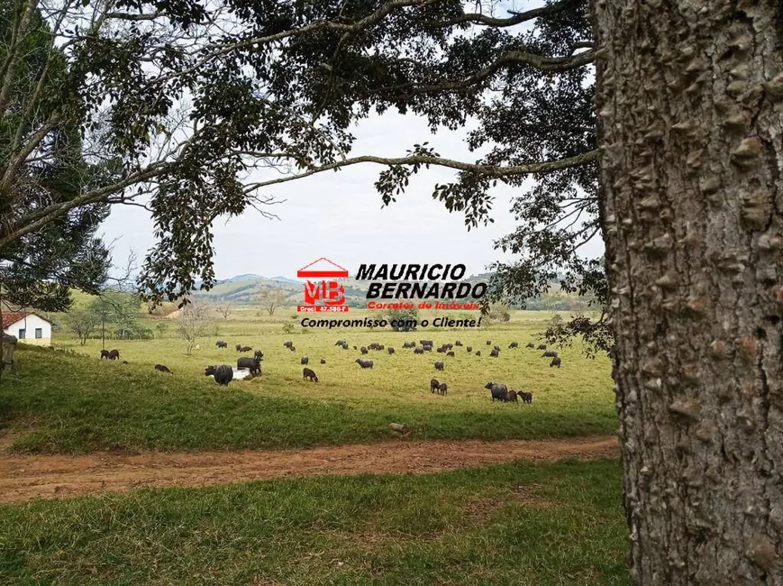 Foto 7 de Fazenda / Haras com 3 quartos à venda, 92m2 em Ouro Fino - MG